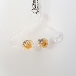 1/2in Daisy Earring Studs - Preserved flowers in resin | EUC